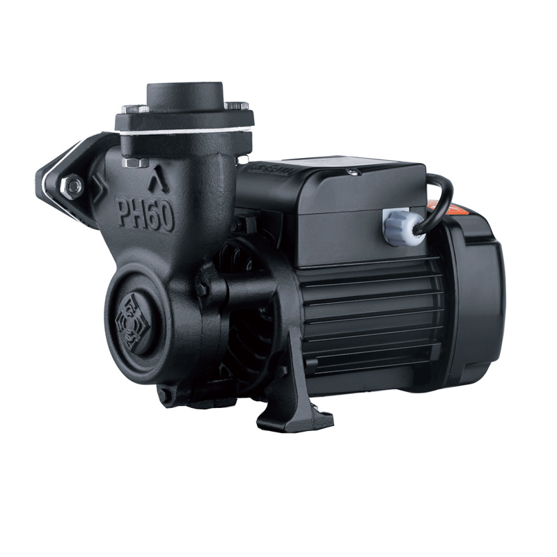 Ph60 High Temperature Oil Pump
