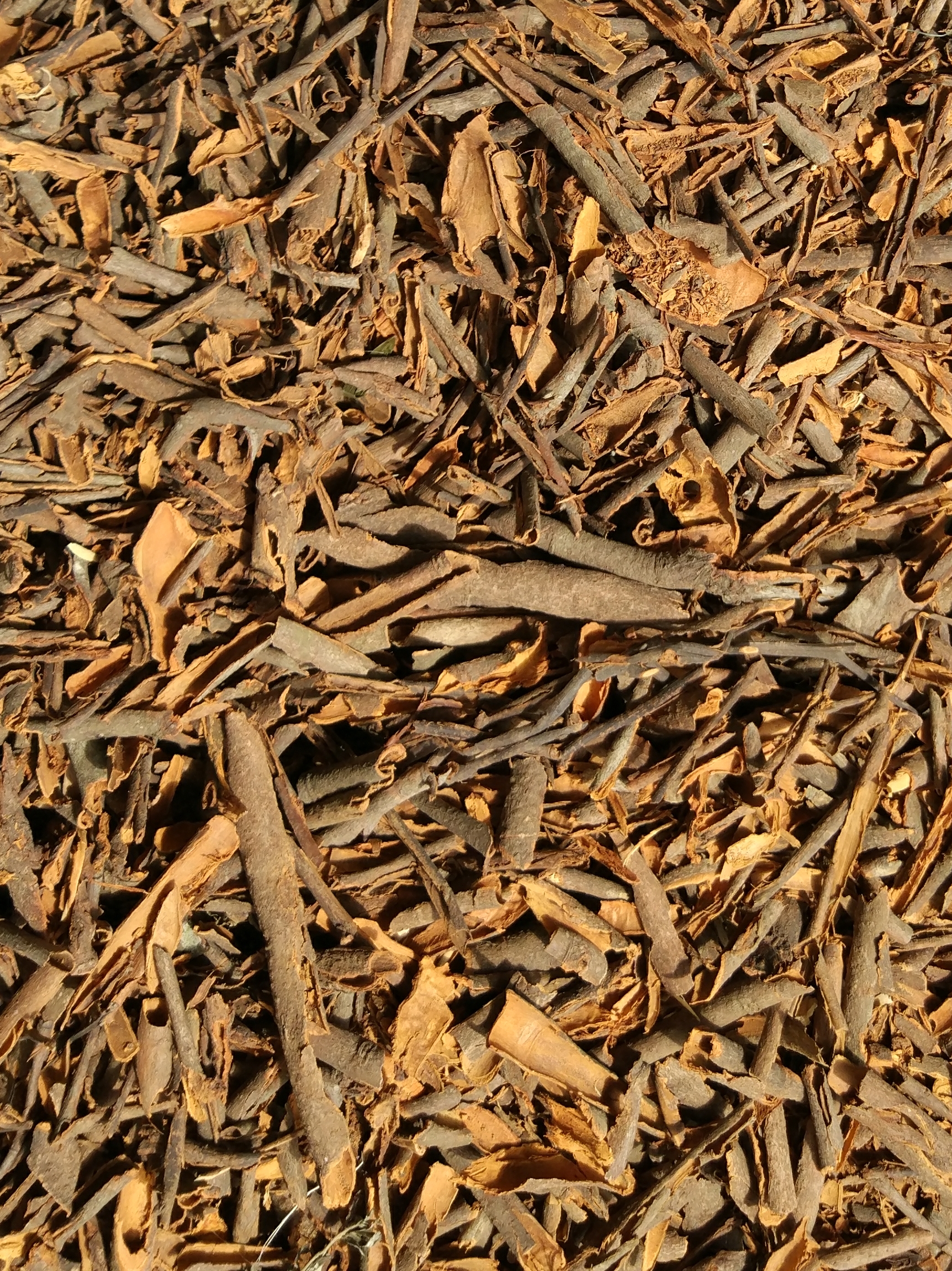 GUANGXI CANGWU COUNTY SIKIANG CASSIA FACTORY – colchoneta de yoga 4