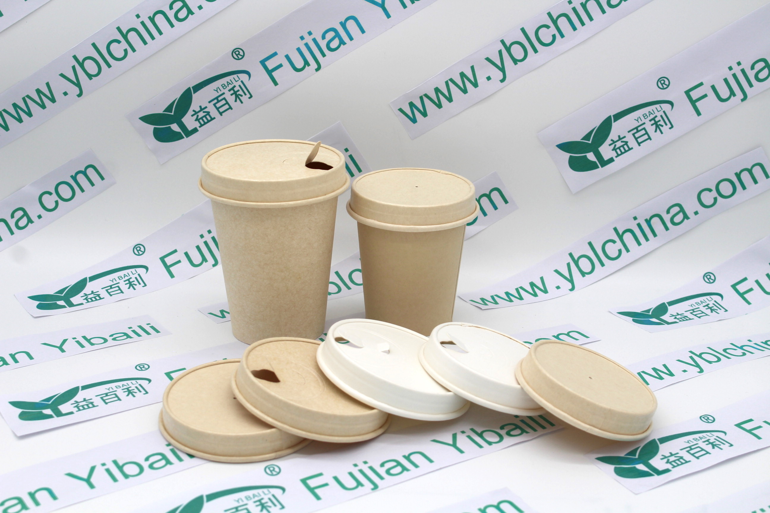 Paper Lid