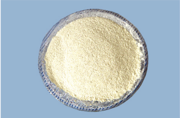 Dehydrated Garlic Products