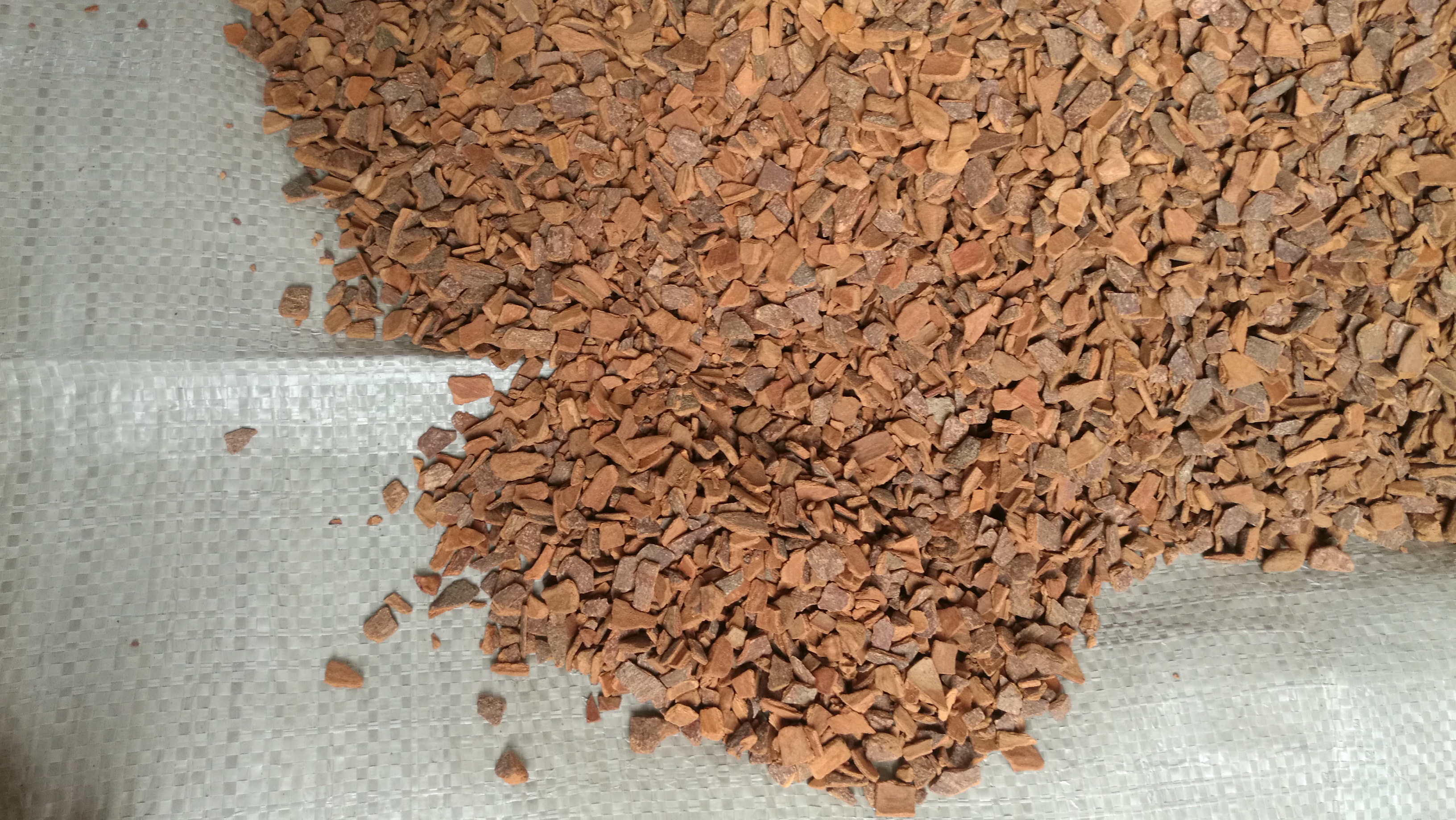Cassia Chips