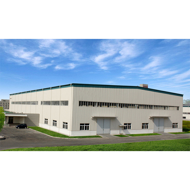 Steel structure building various model types custom free design warehouse workshop garage, etc.