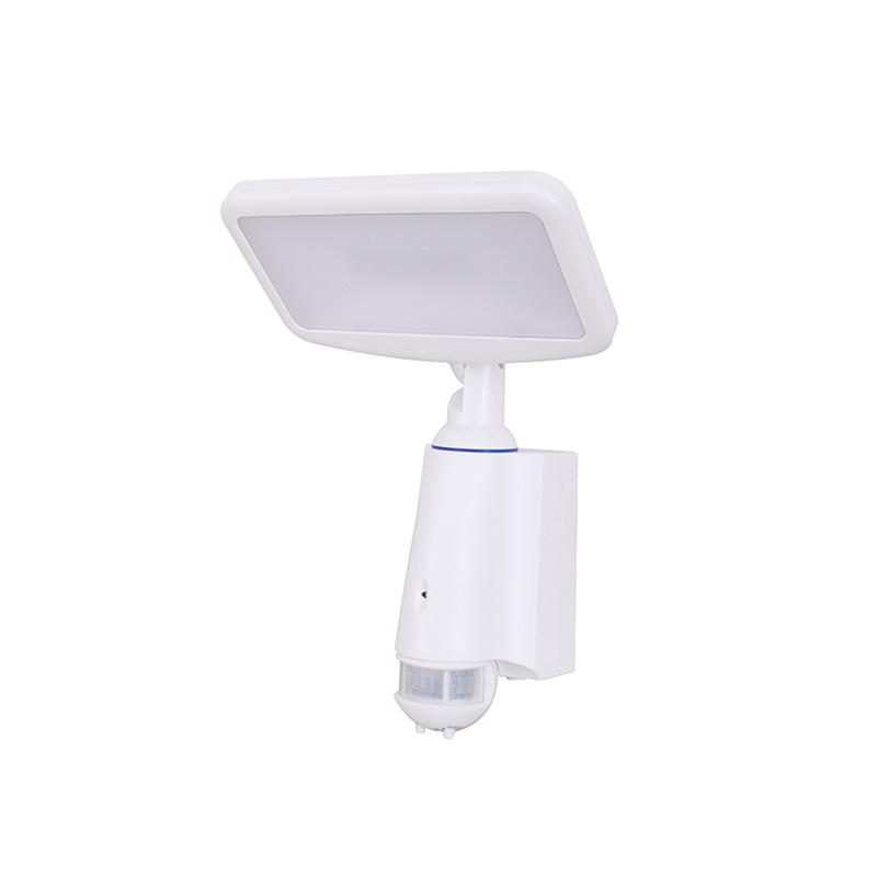 Solar Power Sensor Lamp