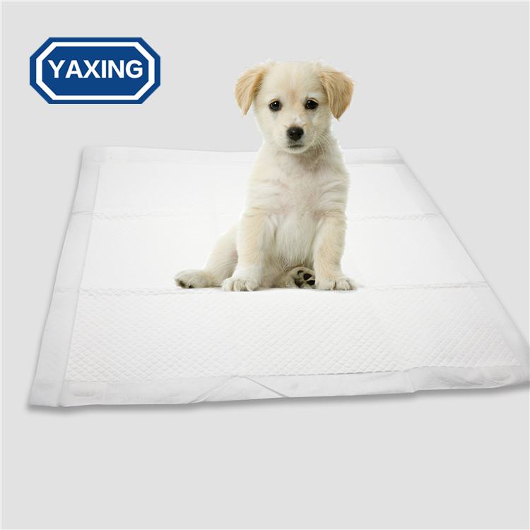 Puppy Training Pad 60x60cm