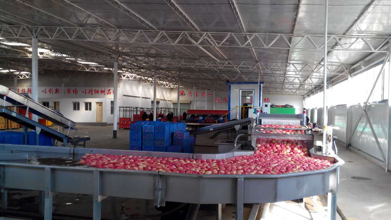 Jingning Longyuan Red Fruit Trading Co., Ltd. – Photos produits 2