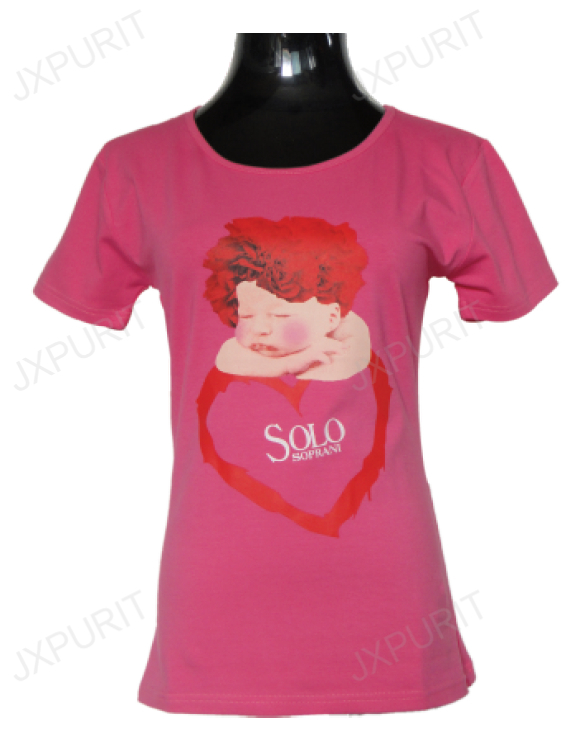 Ladies T-Shirt