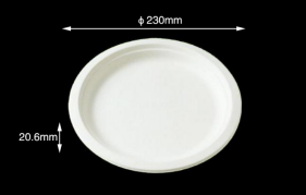 Sugarcane tableware 9" Round Plate