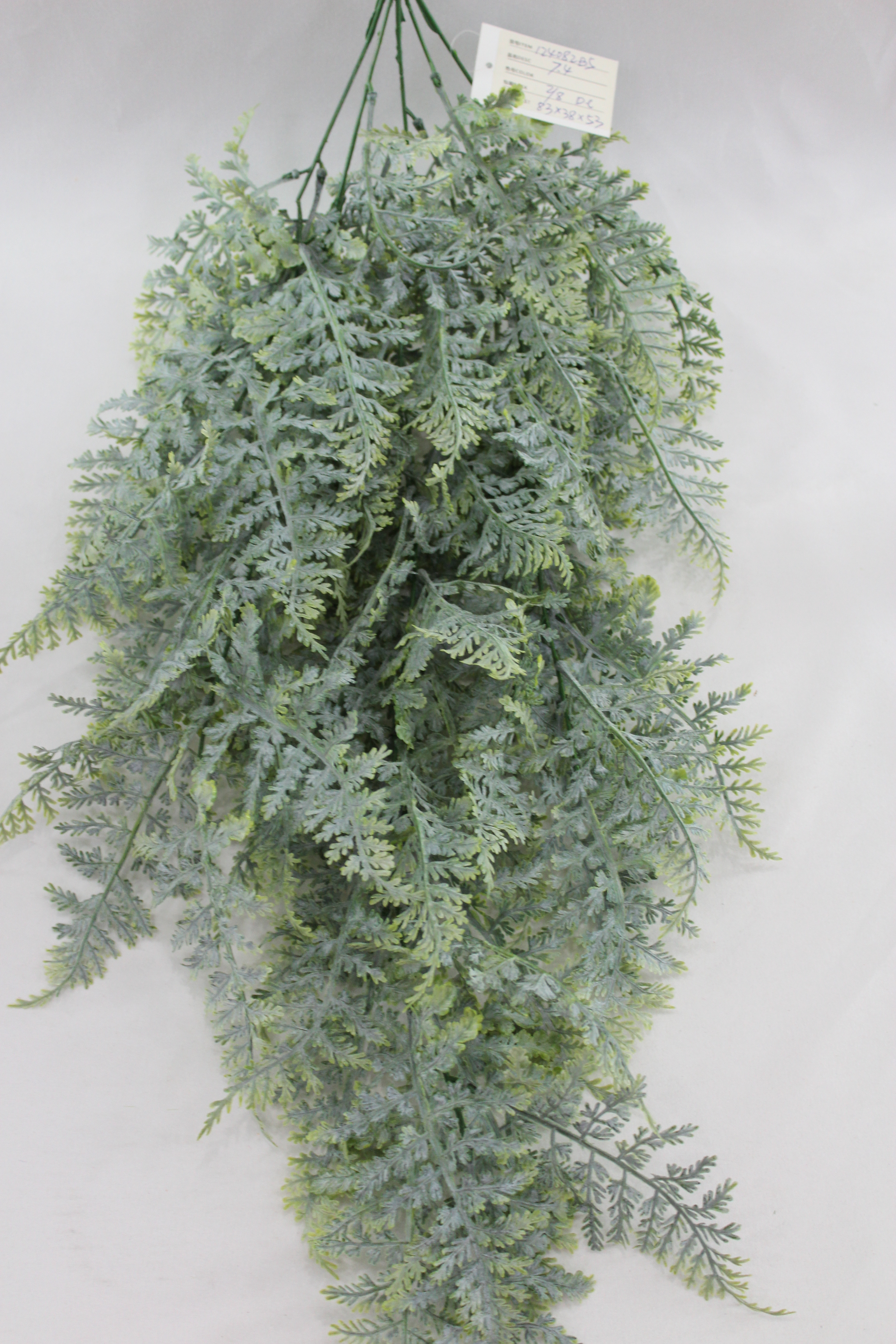 Plastic Plants