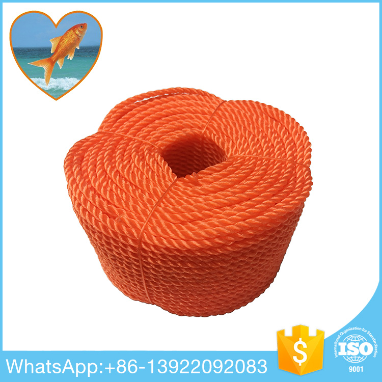 PE Rope