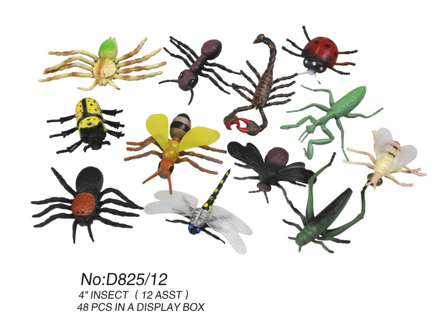 Insect