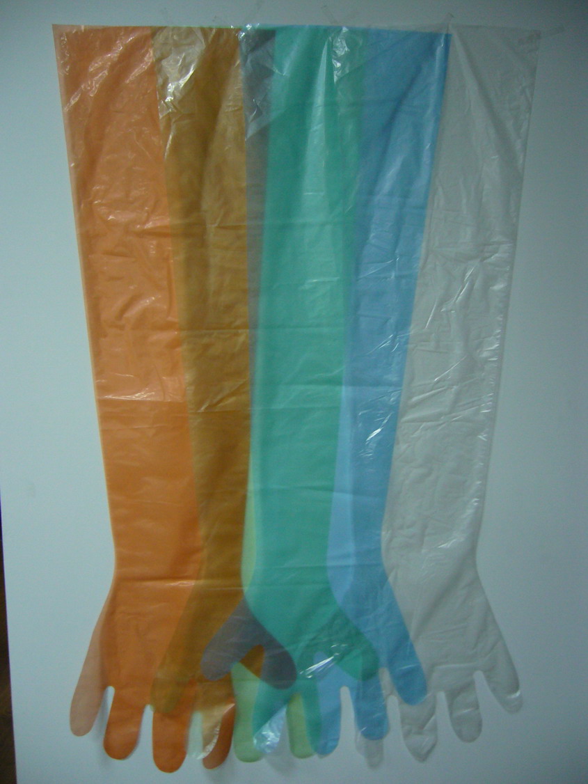 Disposable Veterinary glove