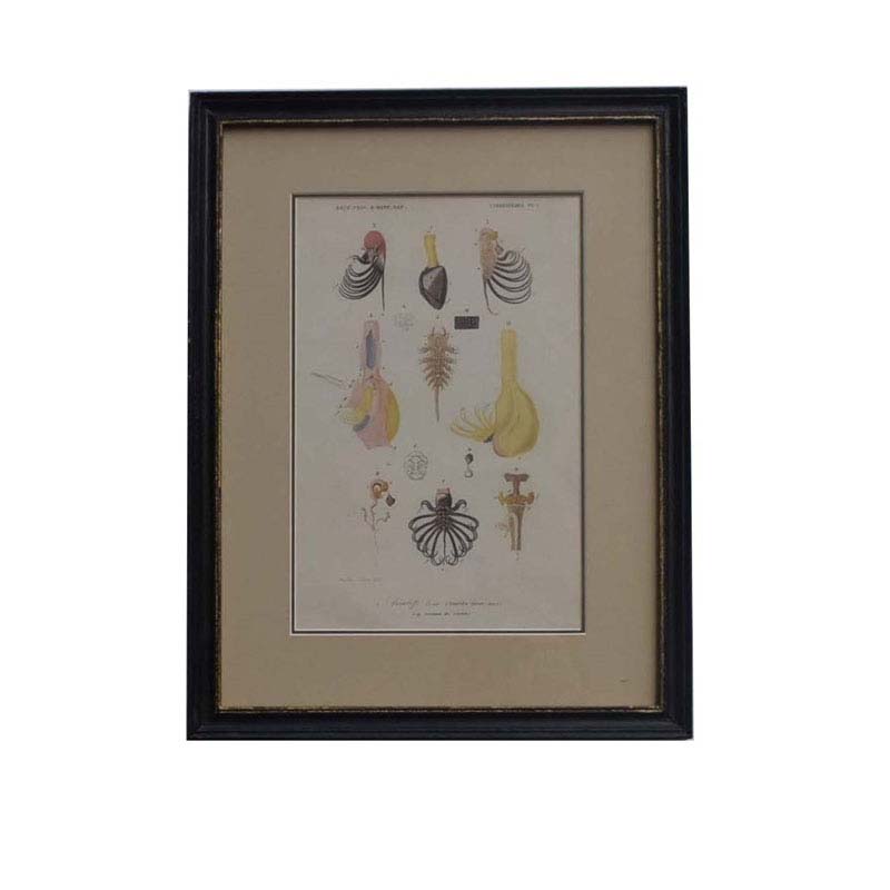 rusty black with gold frame with picture