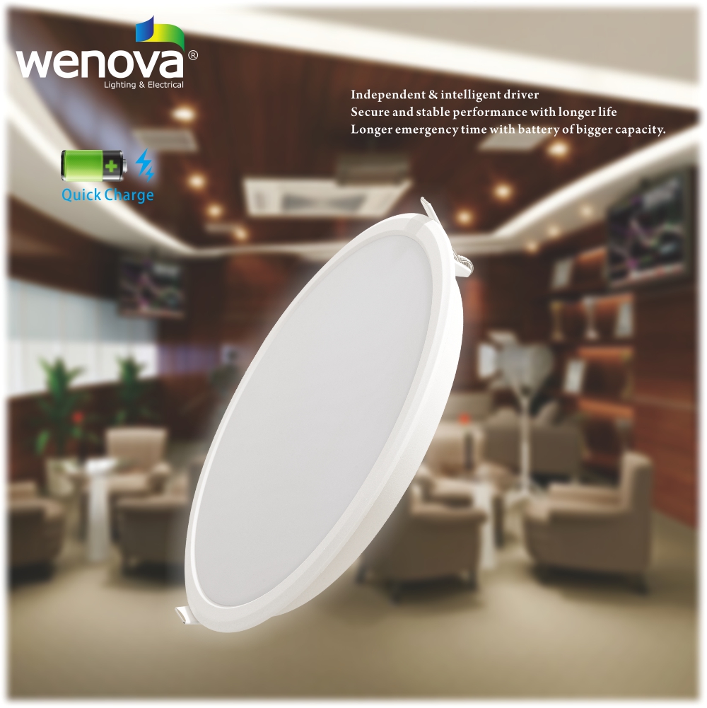 LED Emergency Down Light