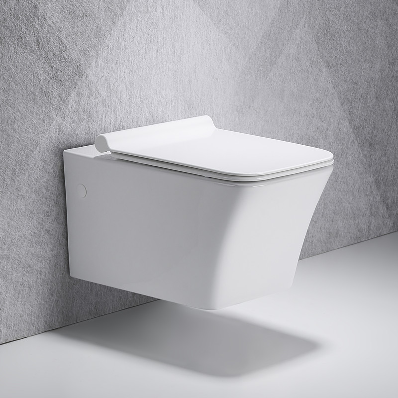 wall hung toilet