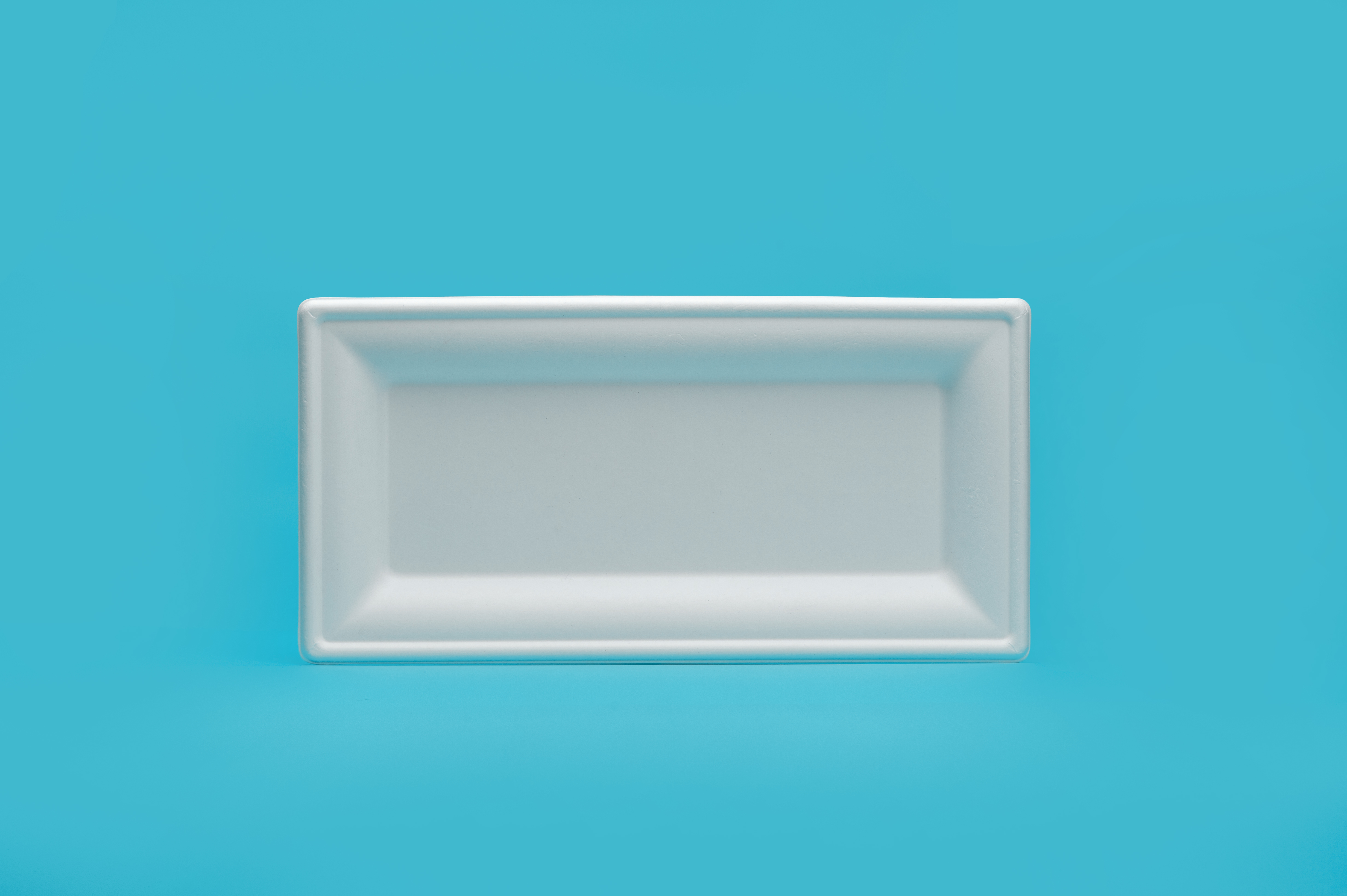 10*5 inch square plate