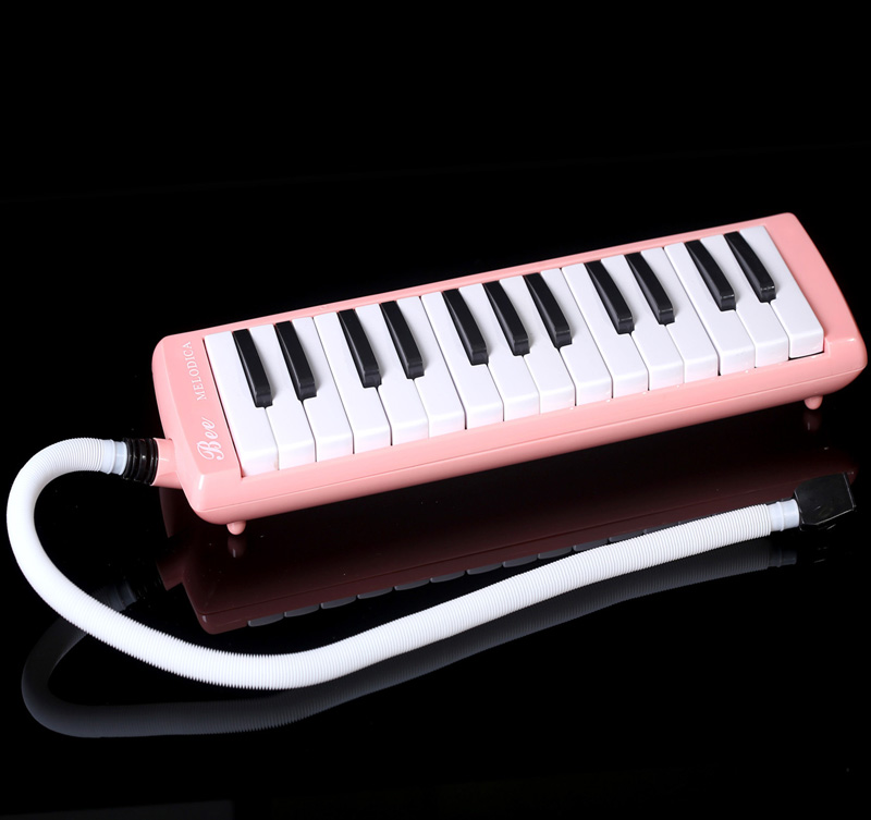 27 key melodica with soft bag