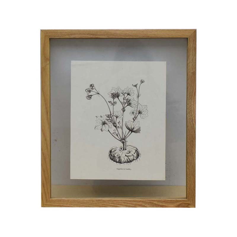 Natural oak frame with picture P970