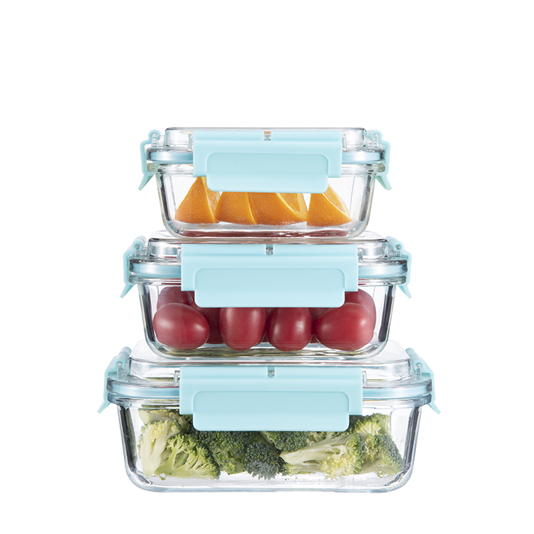 Glass lunch box