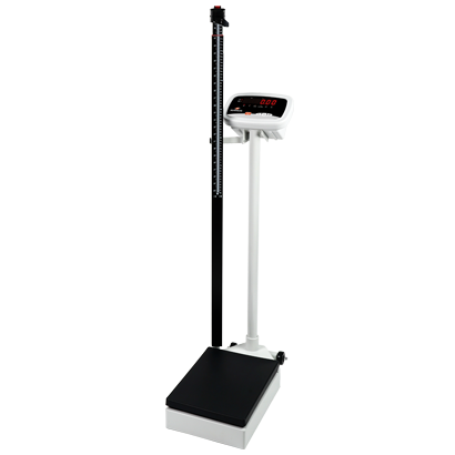 WH-B electronic body scale