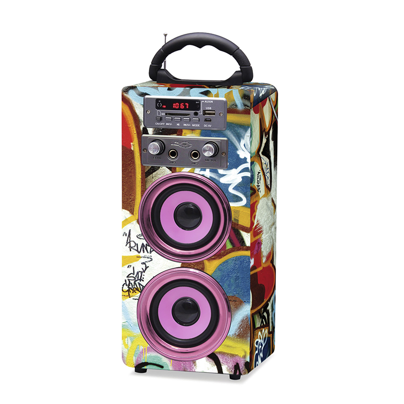 Wooden speaker DLS-AP-ML62