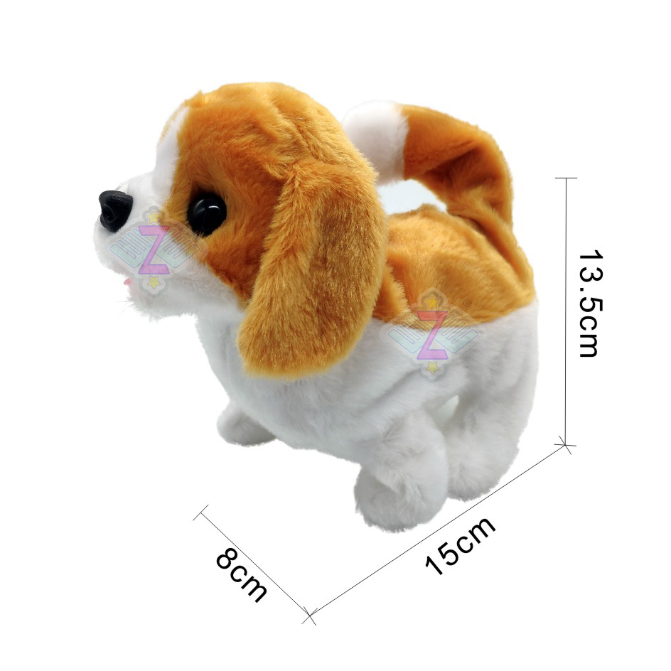 Beagle