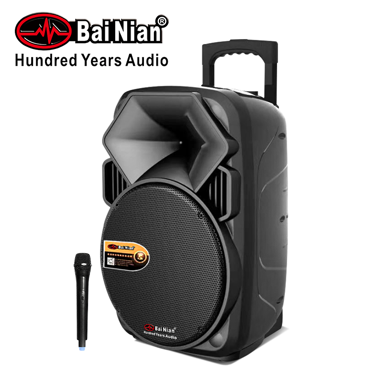 TB-15 Inch Portable Trolley Outdoor Active Speaker with Wireless Mic FM USB TWS Bluetooth Karaoke System