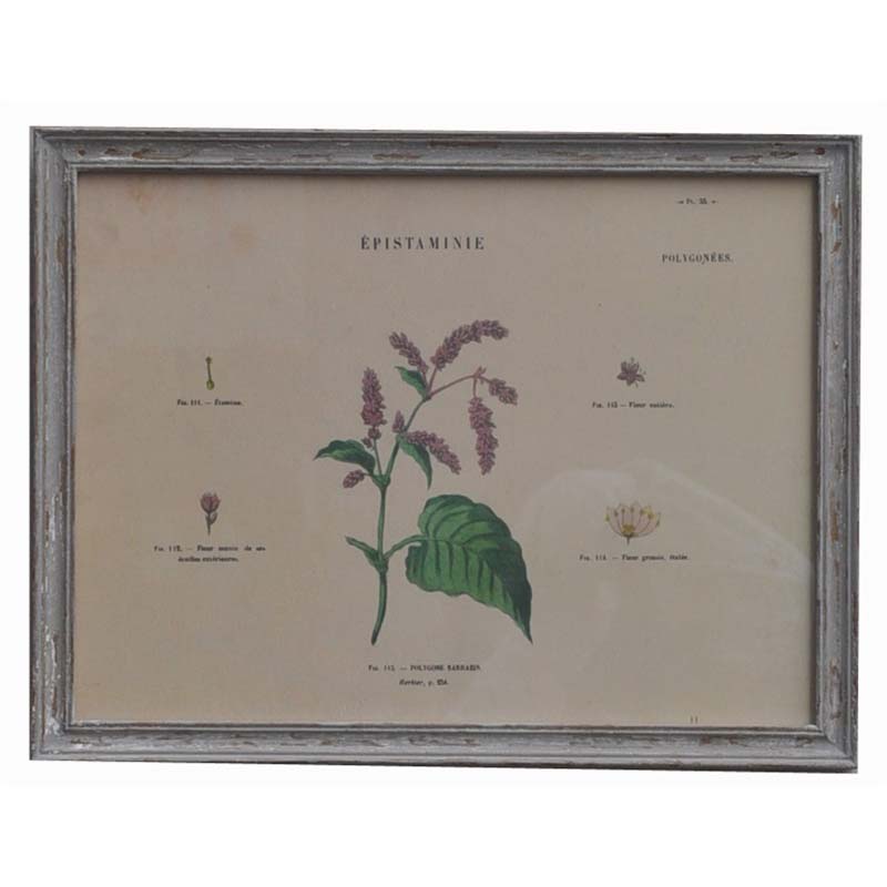 rusty black with gold frame with picture