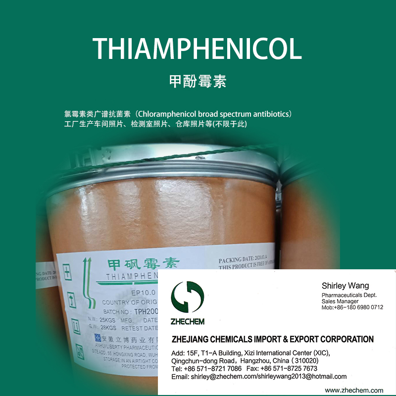Thiamphenicol