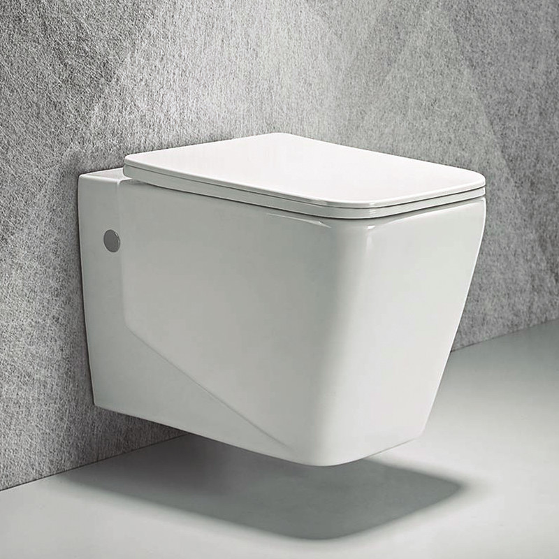 Wall hung toilet