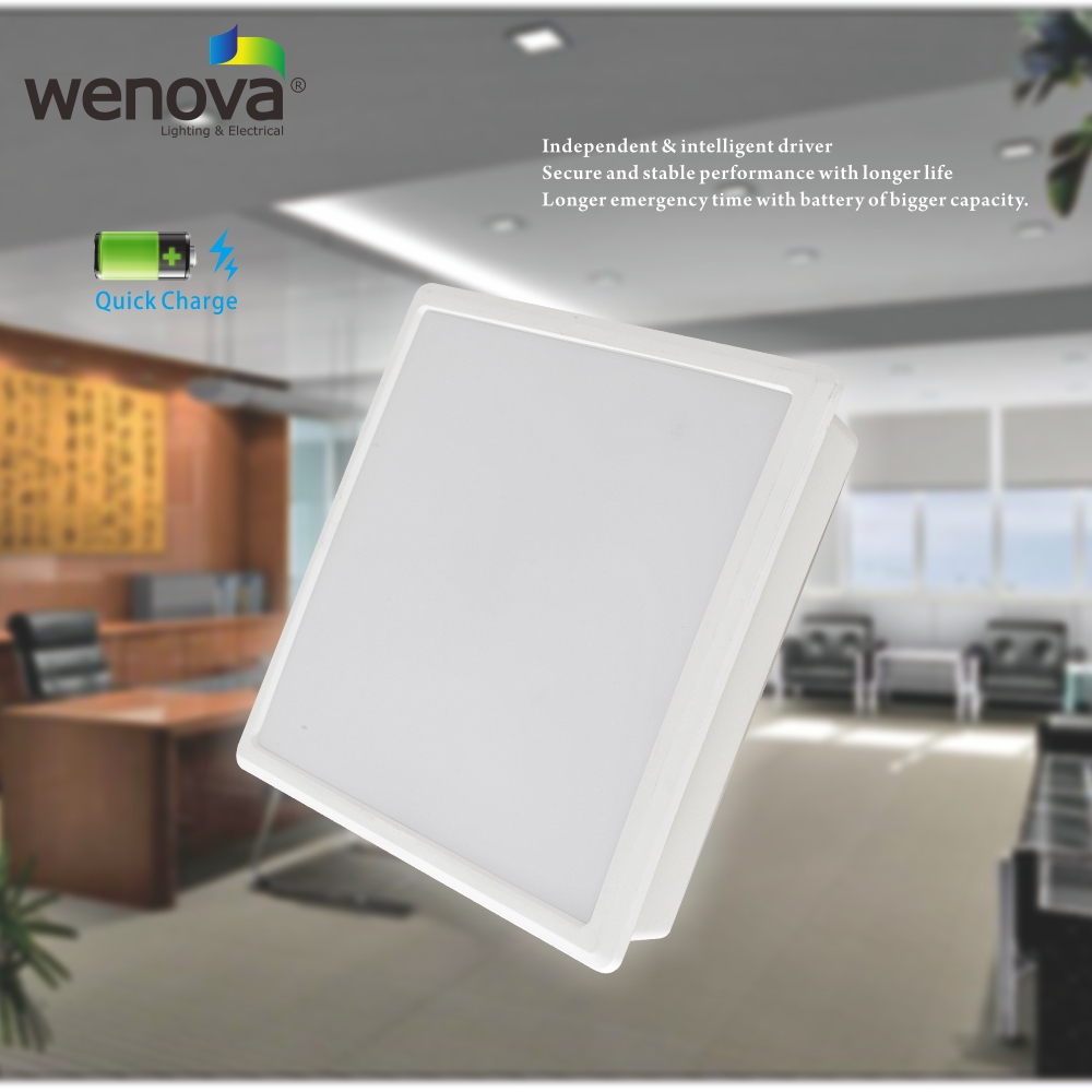 LED Emergency Down Light