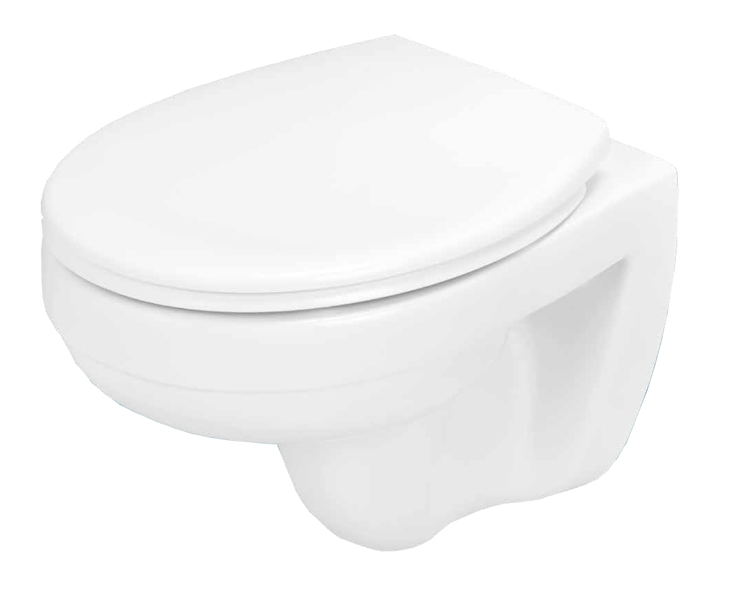 wall hung toilet