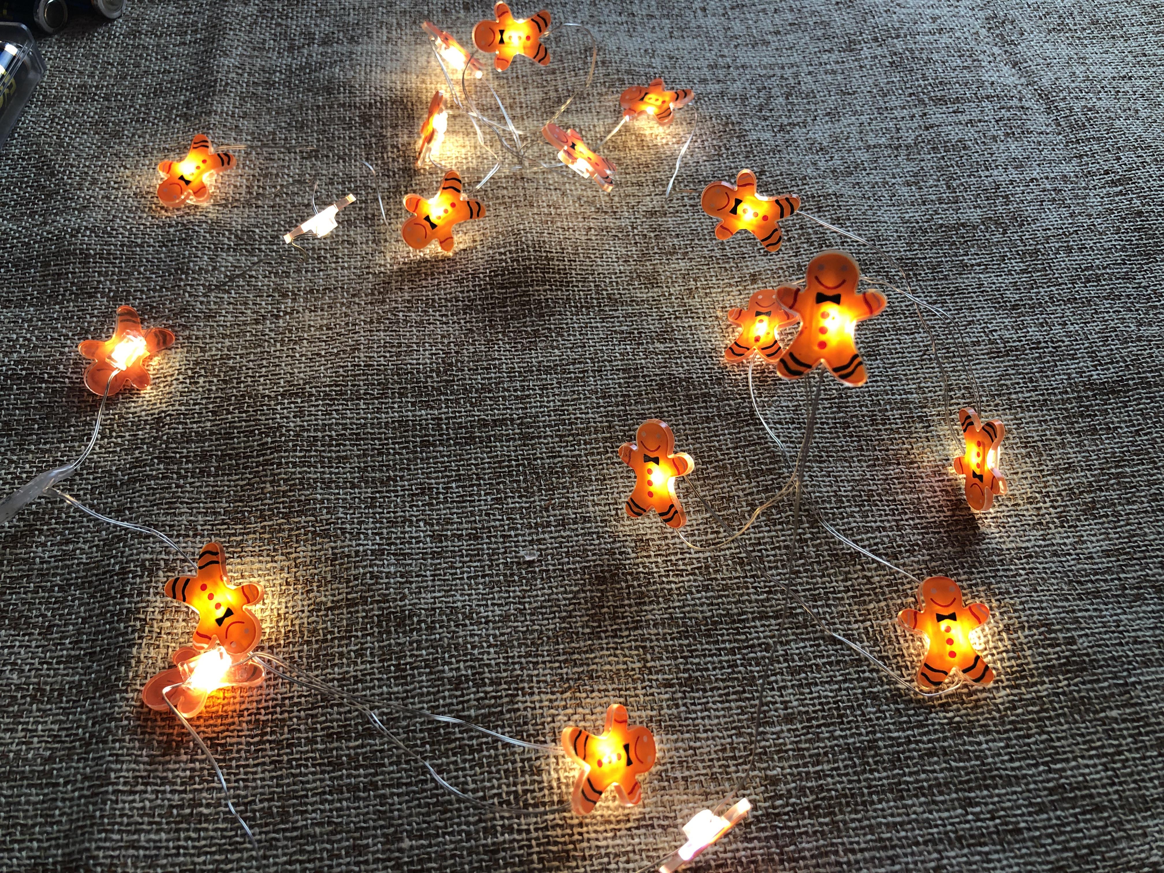 Battery operated micro LED lgihts string