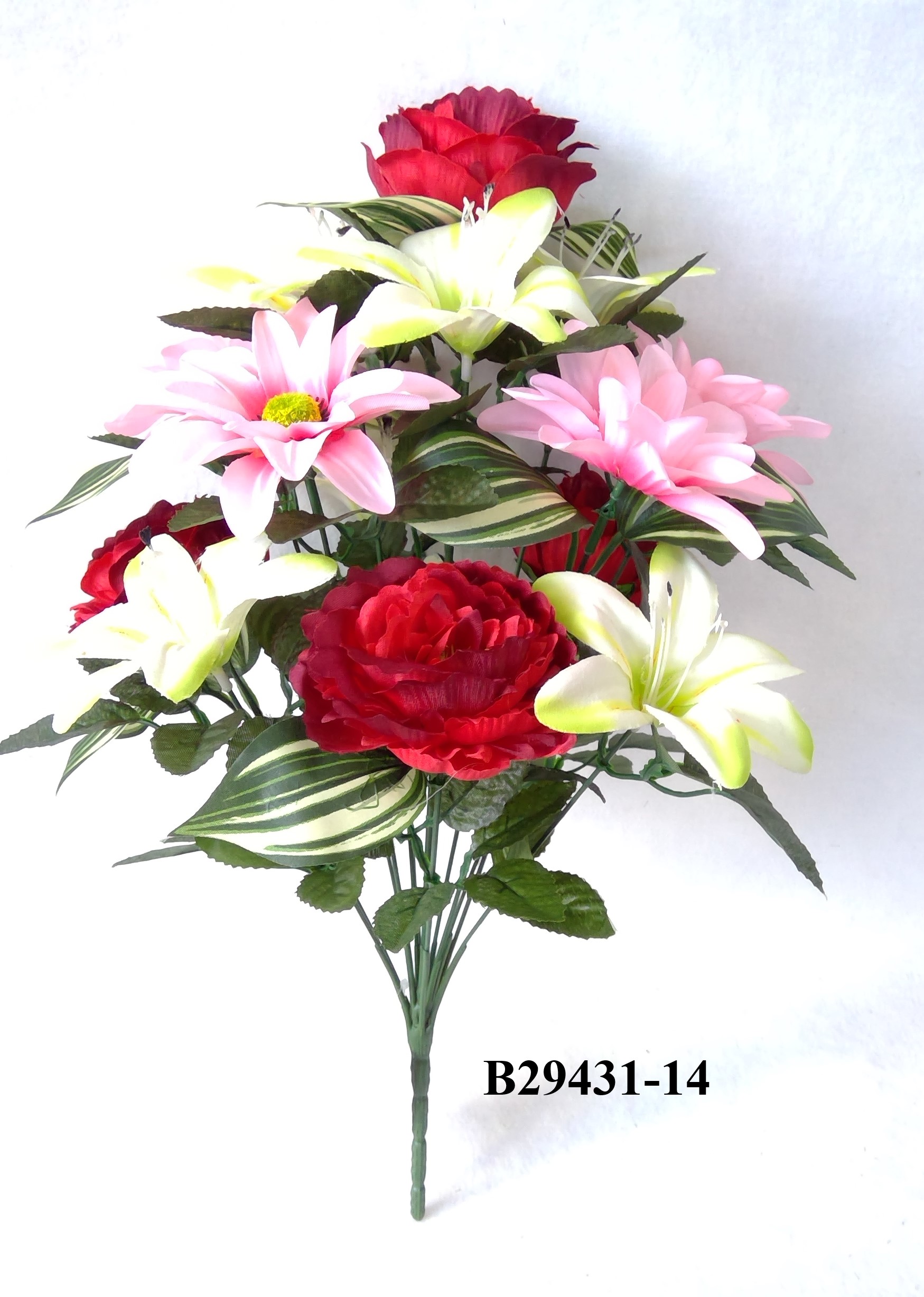 Peony mum lily mix bush x 14