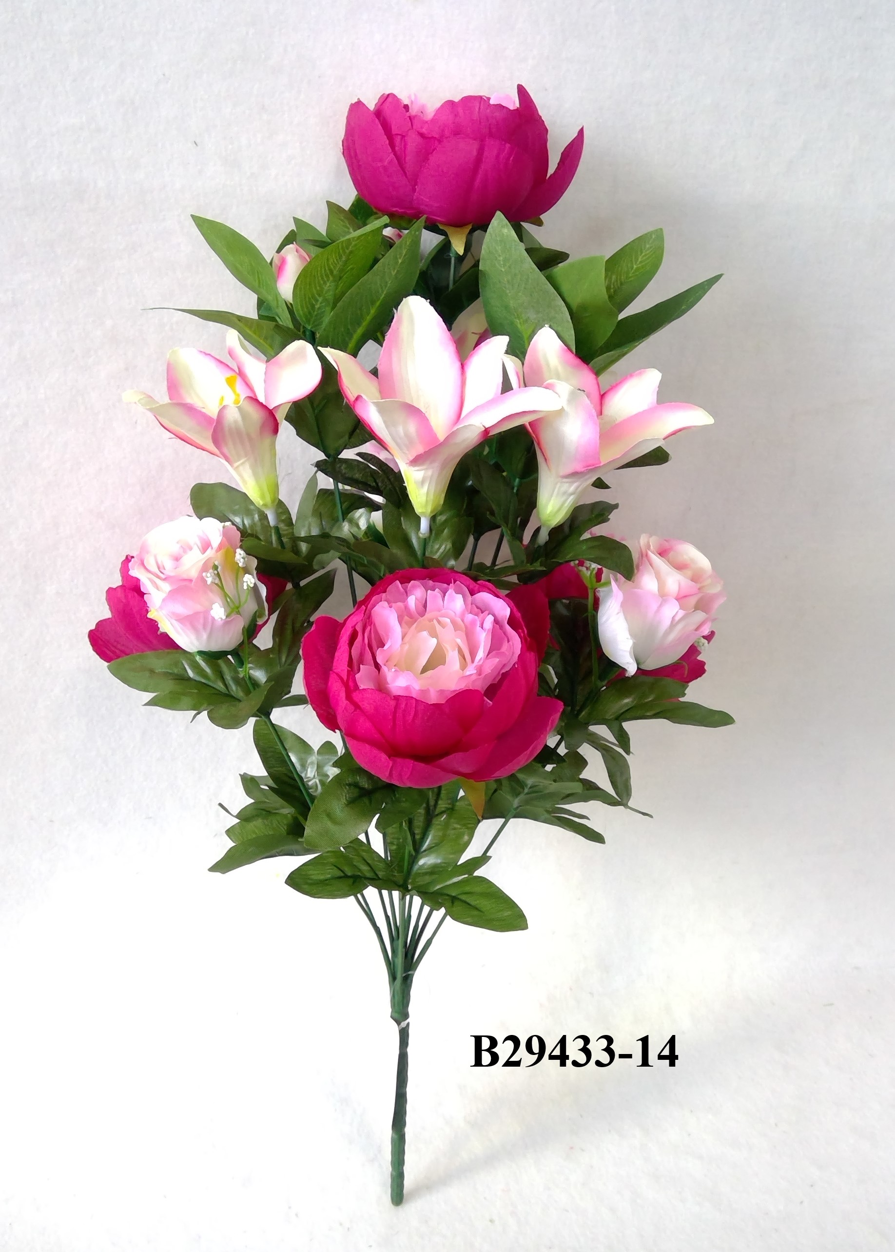 Peony lily mix bush x 14
