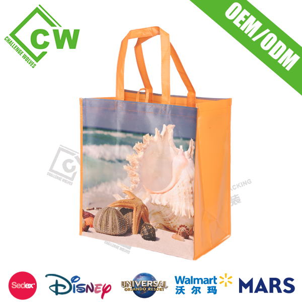 Shopping Bag