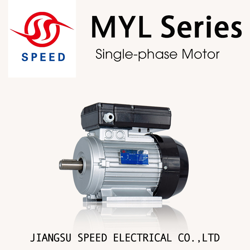 JIANGSU SPEED ELECTRICAL CO.,LTD – Other Motor 3