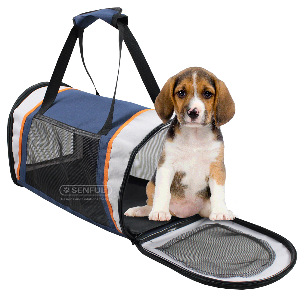 Sport pet carrier