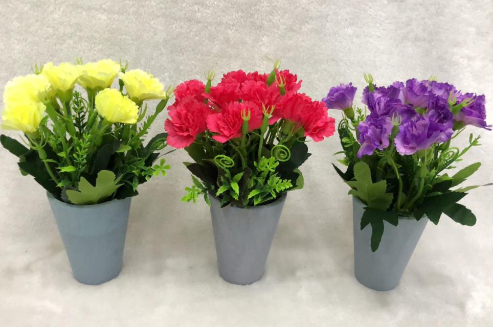 124#potted Small Flowers