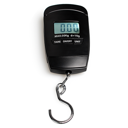 Eh-ls005 portable hook scale