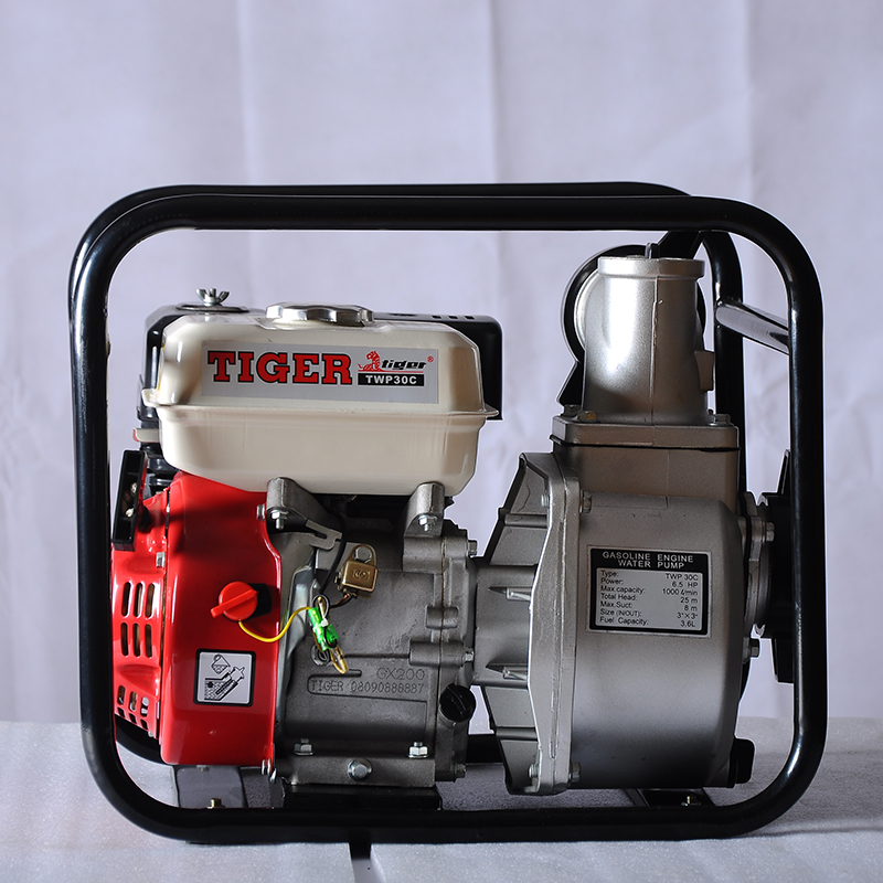 Gasoline Engine Water Pump