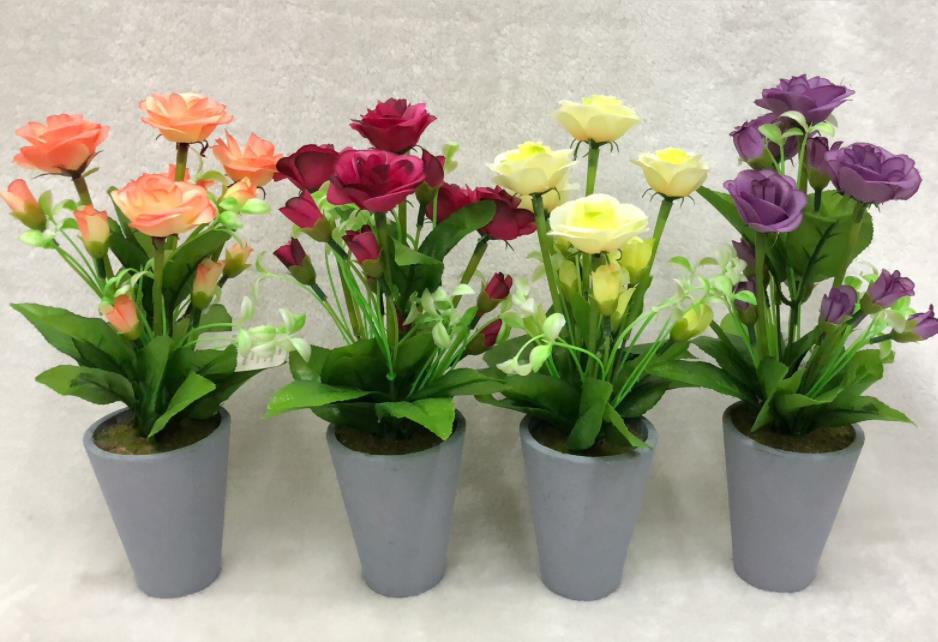 109#potted Plants