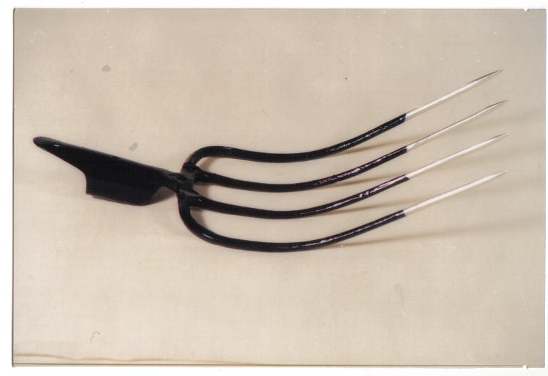 Fork