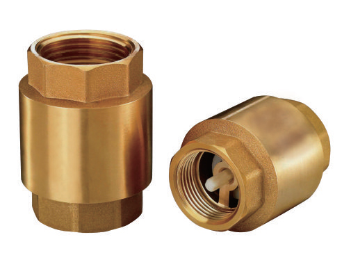 check valve