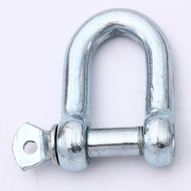 European D Shackle With Screw Pin