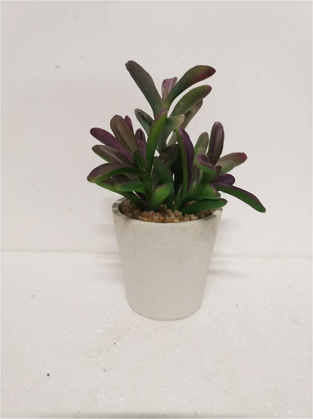 flower pot