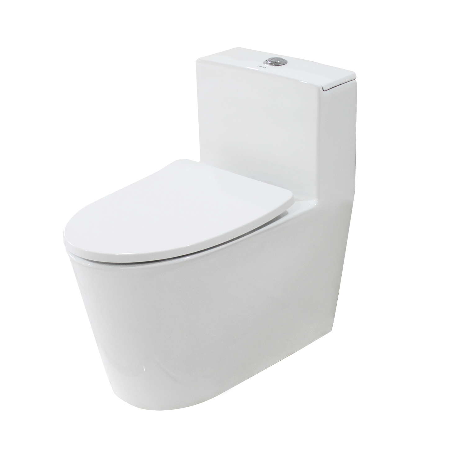 One-Piece Toilet