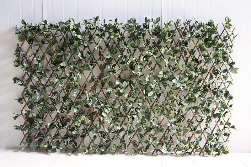 Artificial leaf