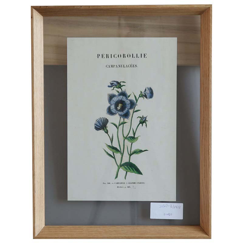 Natural oak frame with picture P613
