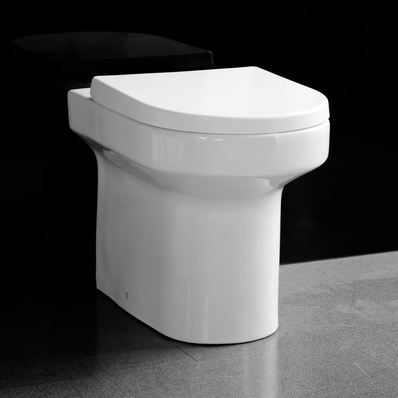 Back to wall toilet