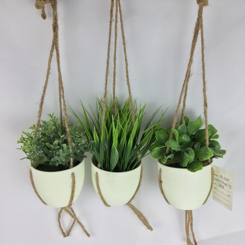Hanging plant in plastic pot
